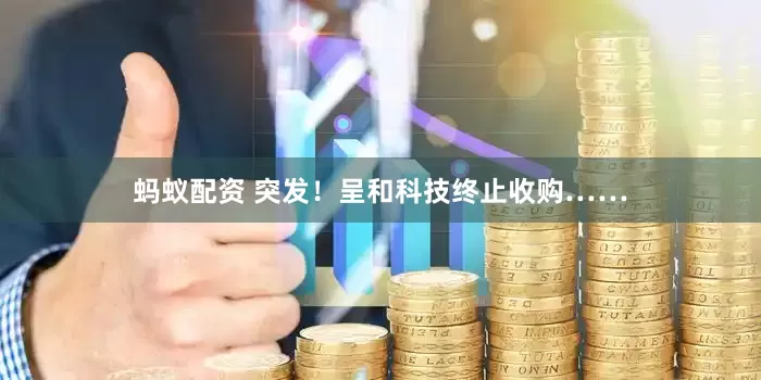 蚂蚁配资 突发！呈和科技终止收购……