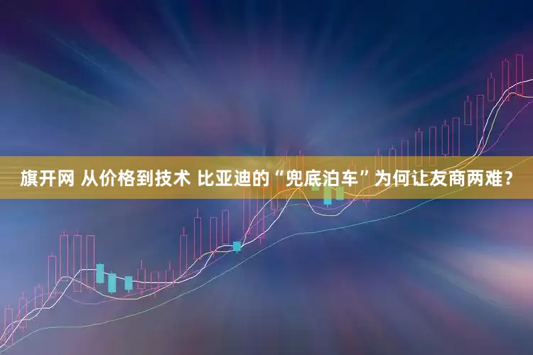 旗开网 从价格到技术 比亚迪的“兜底泊车”为何让友商两难？